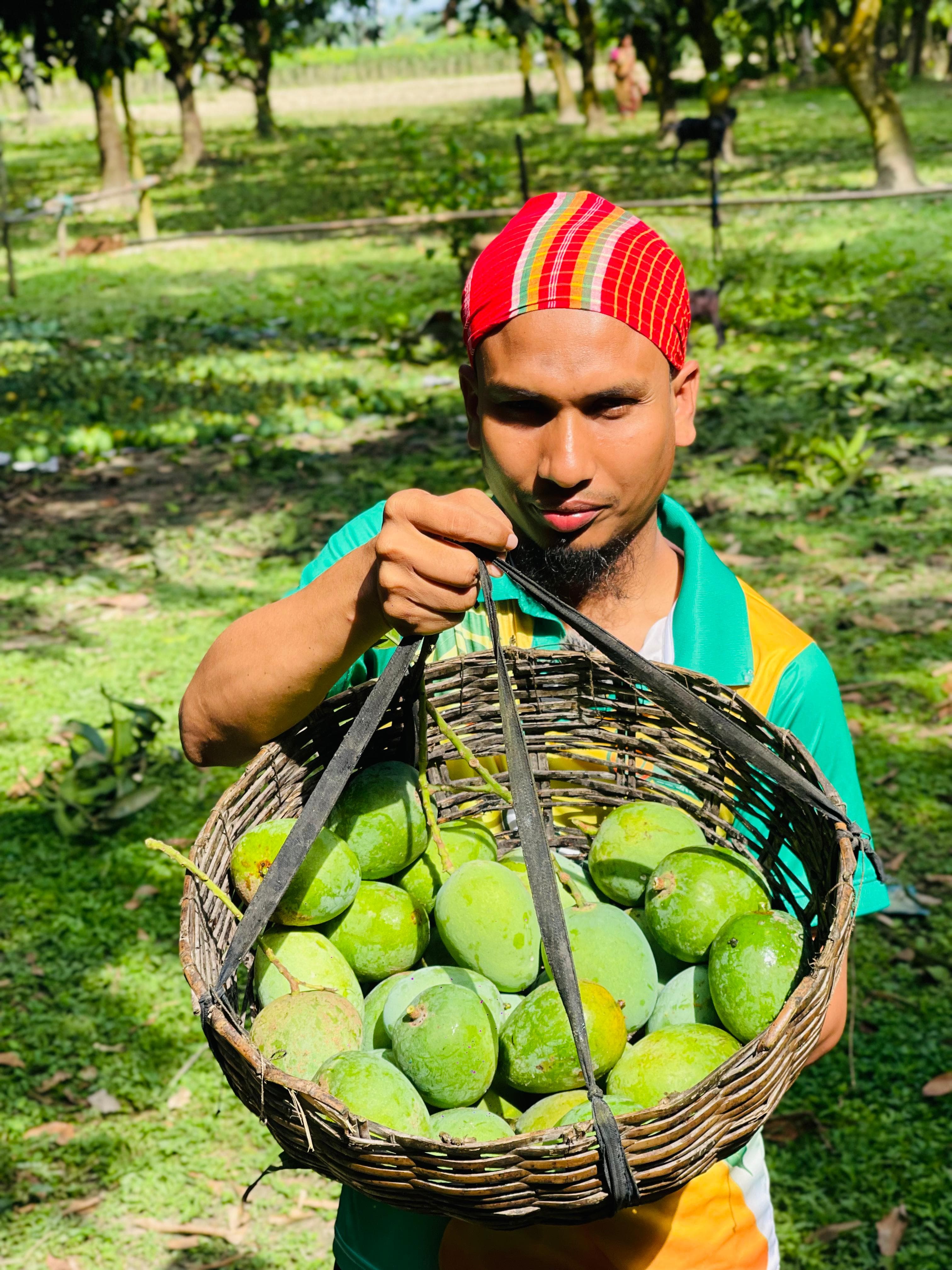 Haribhanga Mango fresh