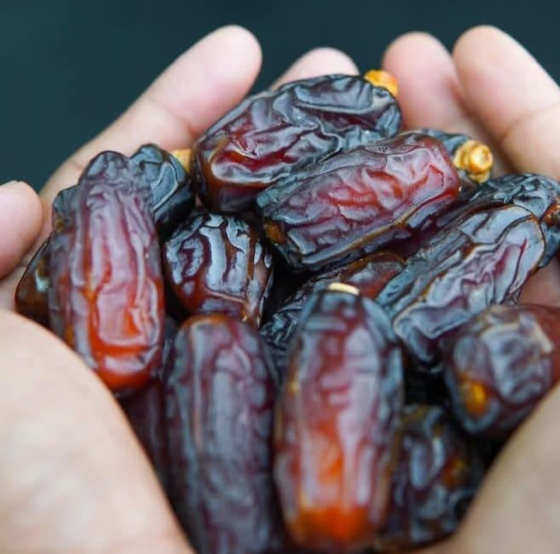 Maryam Dates